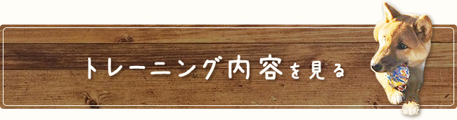 トレーニング内容を見る