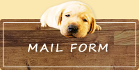 MAIL FORM